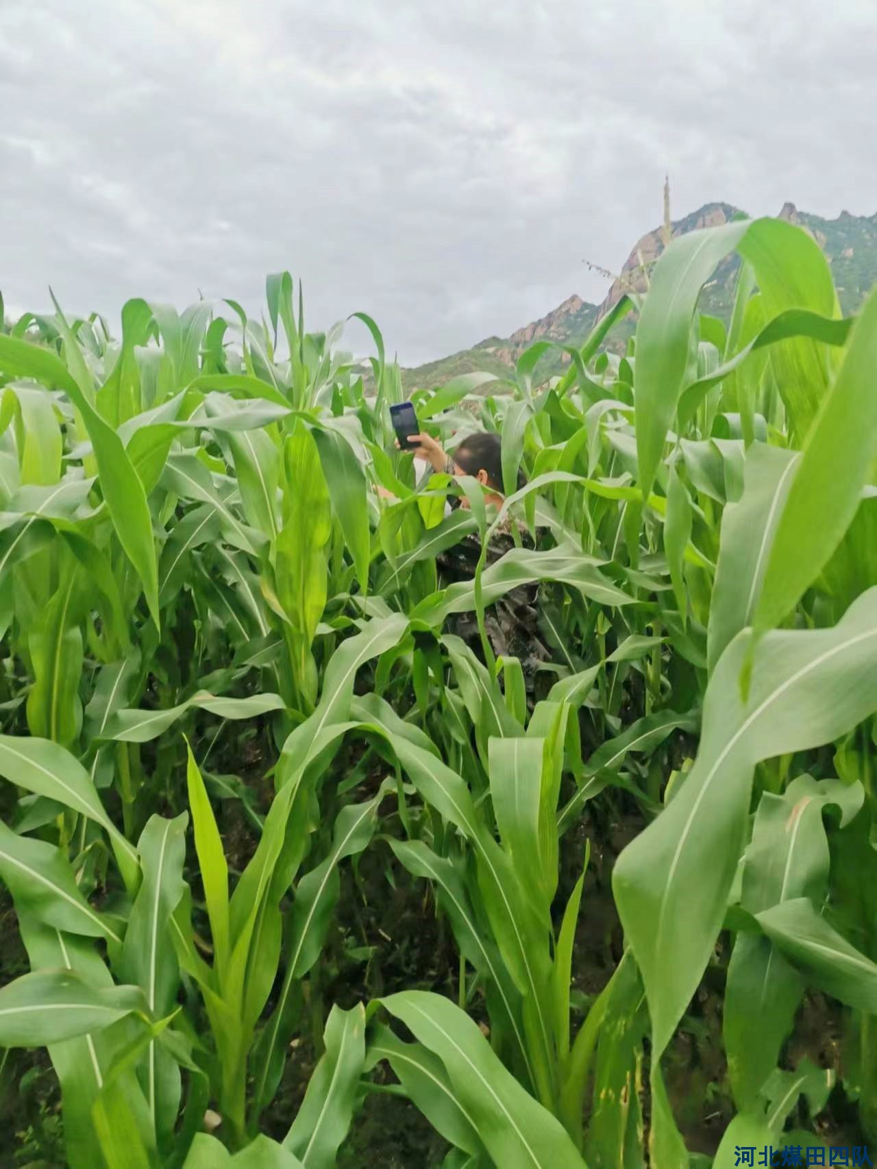 《芳菲三月，巾帼如歌⑦》|地质与我同行