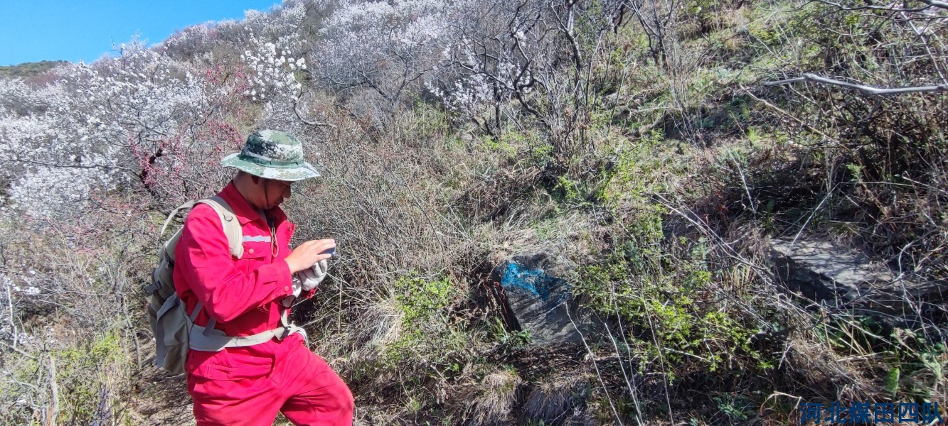 俯首甘为地质人 —记我队大白阳项目组的一天