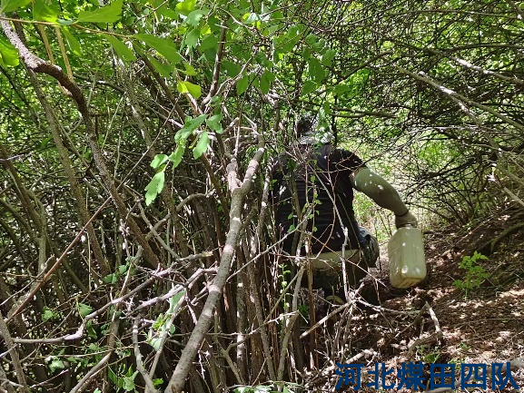 七月的我们 ——大北沟电法纪实